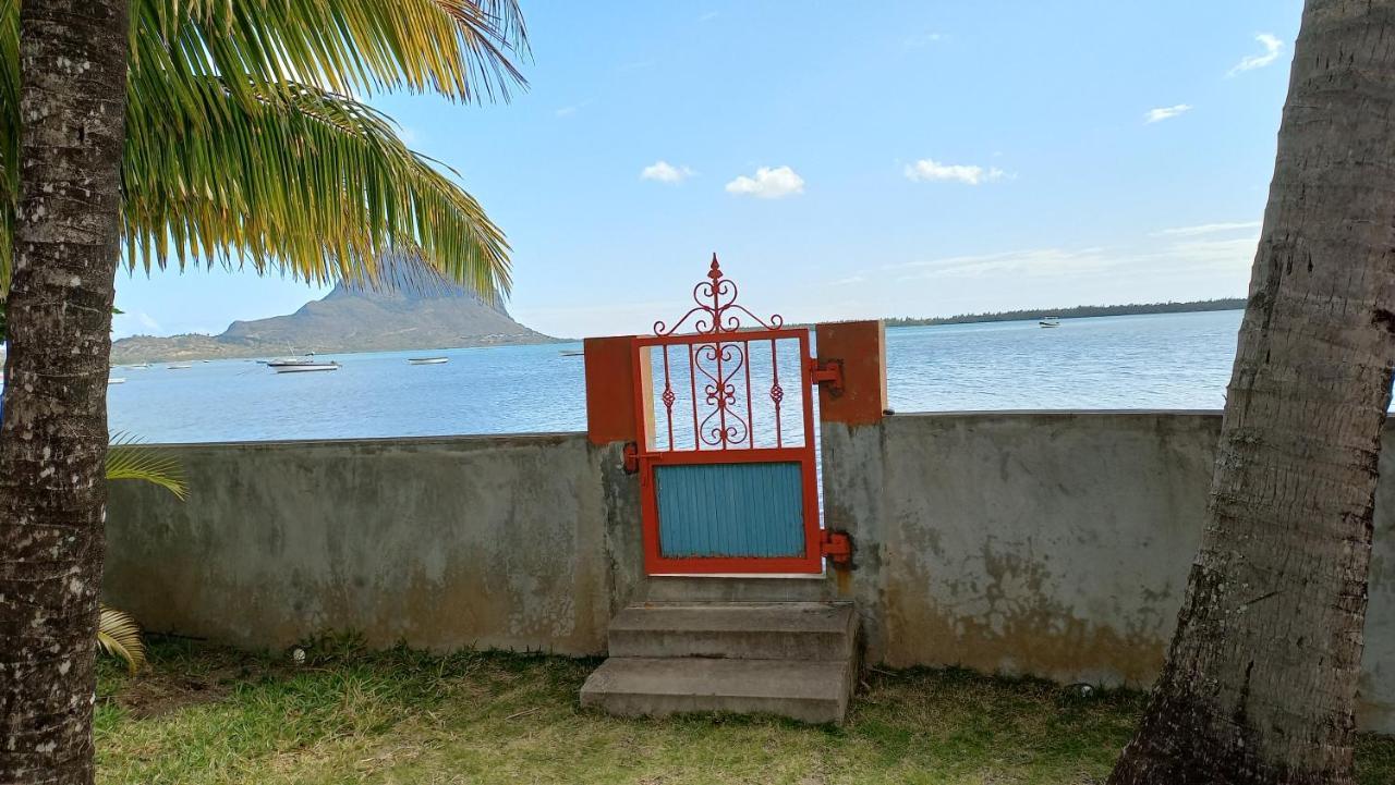 Seaview Studio - La Gaulette Exterior photo